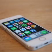 App Entwicklung zur digitalen Erfassung und intelligenten Analyse von Grünflächen