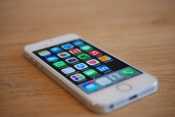 App Entwicklung zur digitalen Erfassung und intelligenten Analyse von Grünflächen