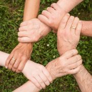 Reallabor & EcoTwin – Der Weg zum digitalen Zwilling der kommunalen Grünpflege